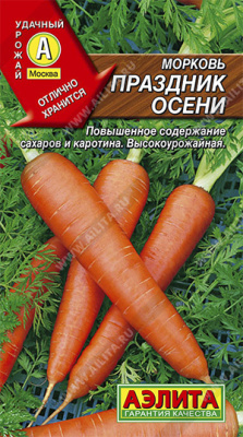Праздник осени морковь (а)