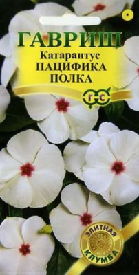 Катарантус Пацифика Полка 5шт (г)