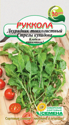 Руккола