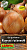 Король гигантов лук репчатый 0,3гр (а) 