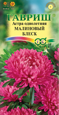 Малиновый блеск астра 40-50см 0,3г (г)