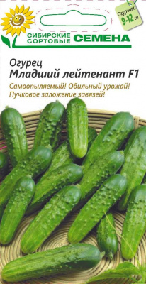 МЛАДШИЙ ЛЕЙТЕНАНТ